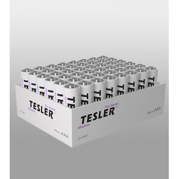 Батарейки TESLER Alkaline R3   LR03-48  (48в/у) /768в/я